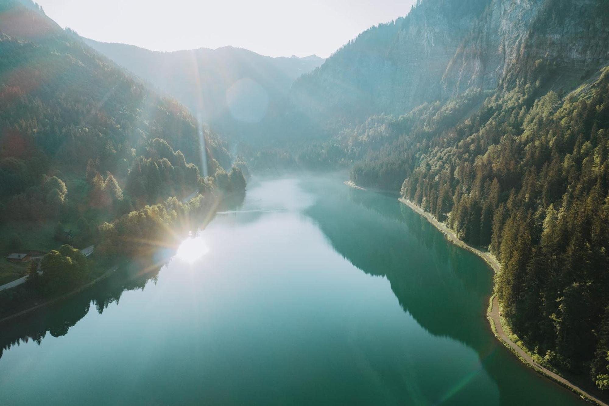 Le Petit Reve - De * Montriond